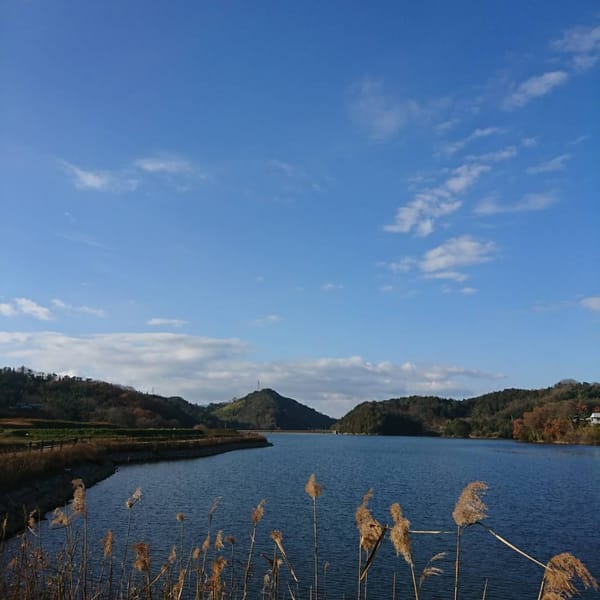 風景
