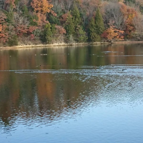 風景