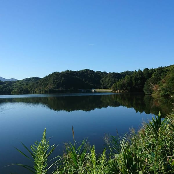 風景